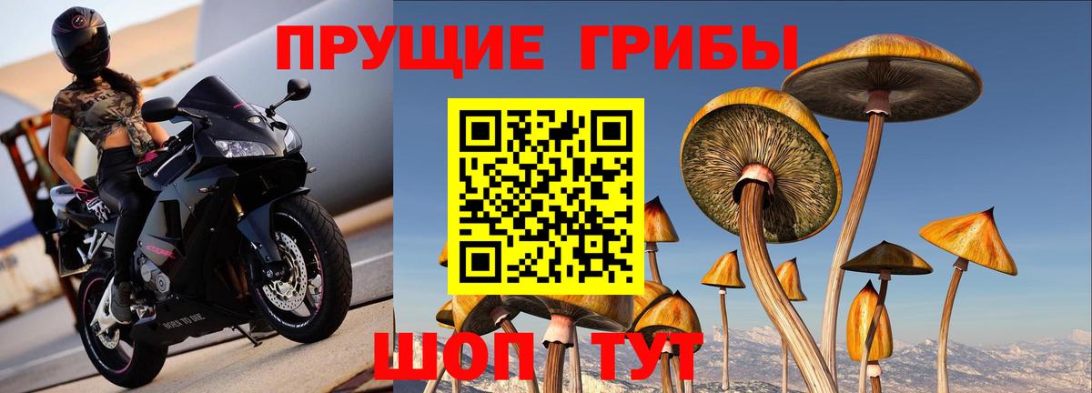 Галлюциногенные грибы ЛСД  где можно купить   Астрахань  Вход с VPN  Псилоцибиновые грибы прущие грибы 